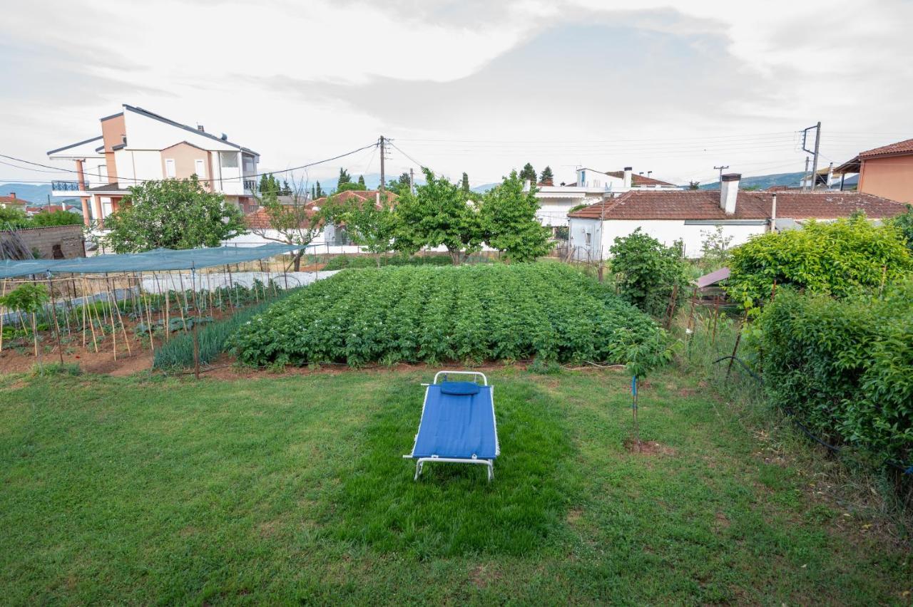 Dream House Ioannina公寓 外观 照片