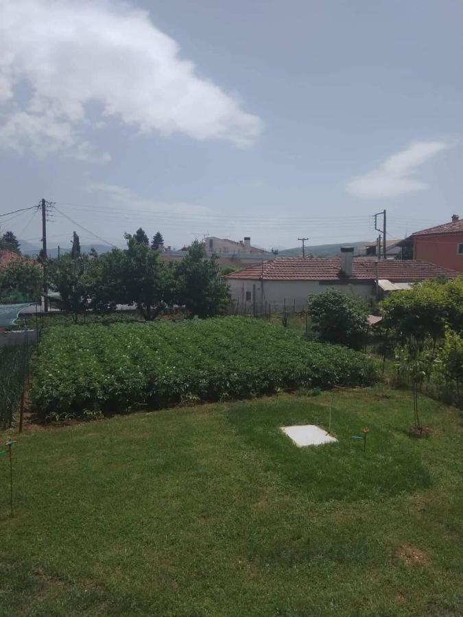 Dream House Ioannina公寓 外观 照片