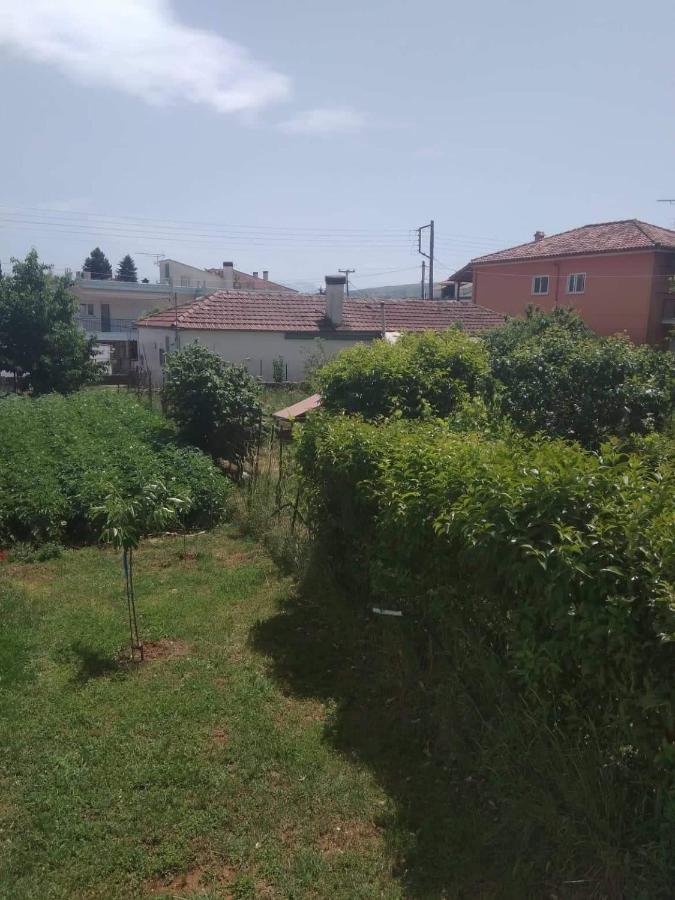 Dream House Ioannina公寓 外观 照片